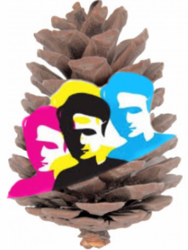 Marie Curie — Rion des Landes